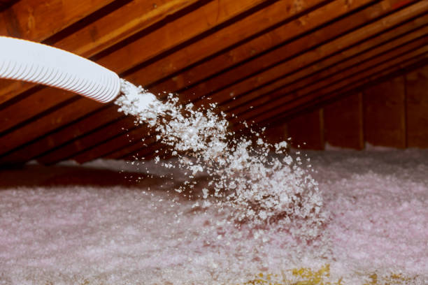 Best Attic Insulation Installation  in Lockwood, MO