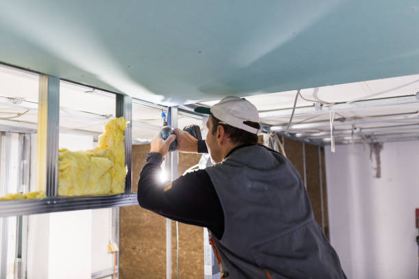 Attic Insulation Near Me in Lockwood, MO