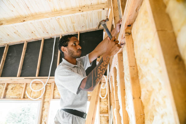 Best Attic Insulation Installation  in Lockwood, MO