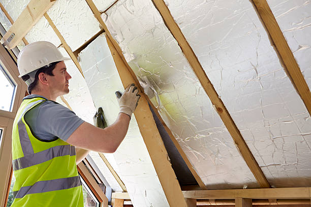 Best Crawl Space Insulation  in Lockwood, MO