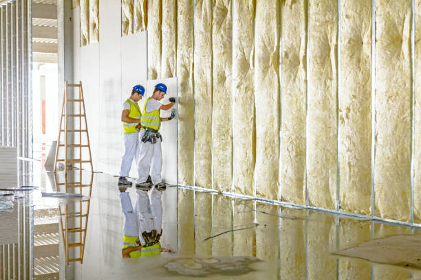 Best Home Insulation Services  in Lockwood, MO